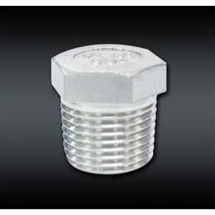Stainless Steel Fittings Square Plug 1/2"