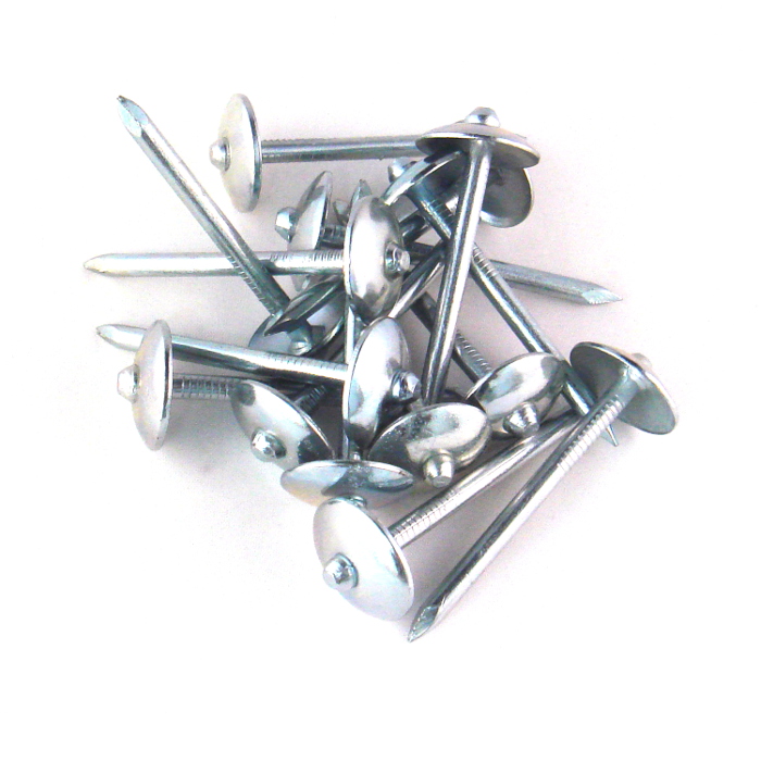 Galvanized (GI) Roofing Nail 2" (1KG)