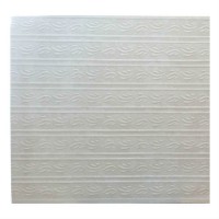 Asg Gypsum Board 1220mm X 2440mm 4 X 8 12mm T