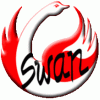 Swan